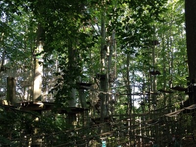 The high-ropes course in Potsdam (2)