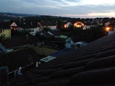 View from the attic skylight that used to be my room