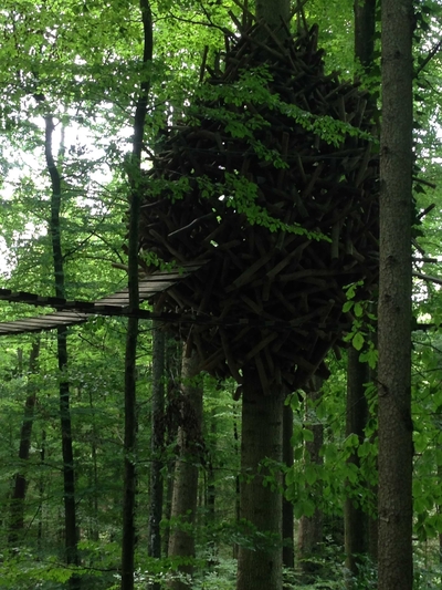 Tree house (nest?)