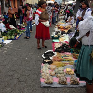 The very festival and seed market