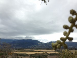 Interesting experiment in focus: the distant mountains