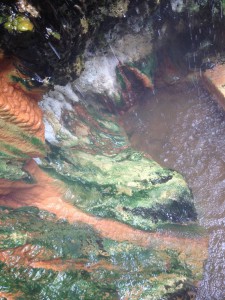 The mineral-rich water stains the rocks with intense colors
