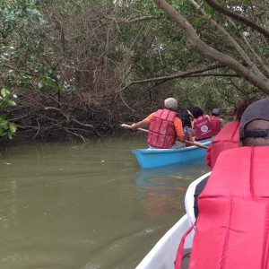Paddling our canoes