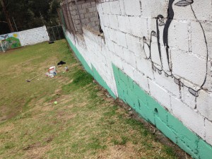Painting the school wall (1)