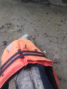 Bugs on the life vest