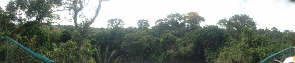 The view from the top