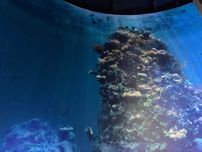 The Great Barrier Reef Panorama
