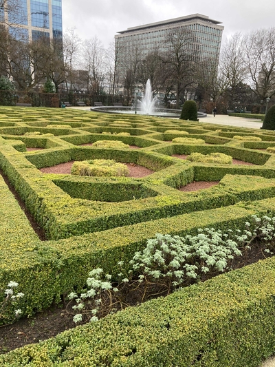 Brussels Botanical Garden with geometrically pruned hedges