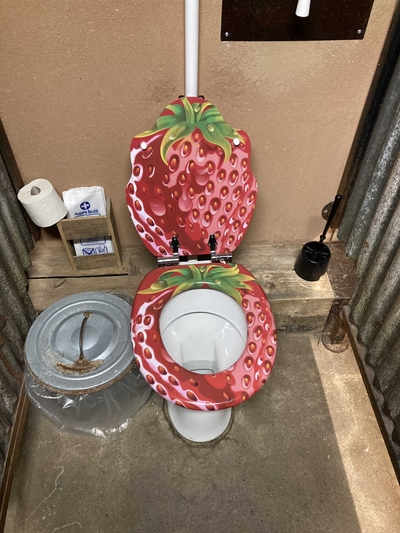 A toilet with a strawberry pattern