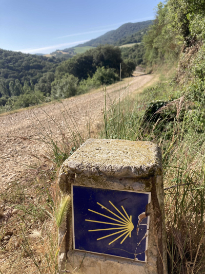 A sign with the traditional clamshell mark of the Camino de Santiago in the foreground and the path in the background