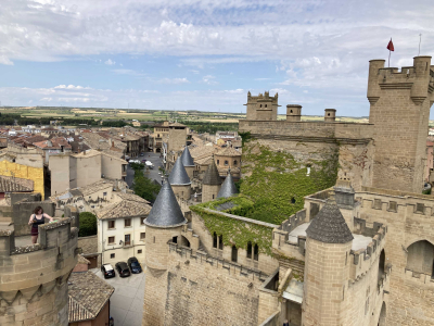 The view from one of the towers of the Royal Palace of Olite